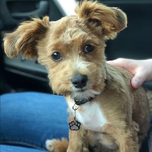 Meet your Posher, Erin